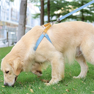 Make Every Walk a Colorful Adventure with Our Rainbow Colorblock Pet Harness Leash Set!