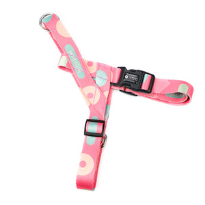 Discover the Freedom of Adventure with Our Pet Leash Cat Chest Strap
