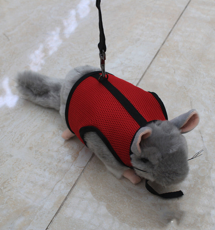 The Essential Small Pet Leash: Your Pet's New Best Friend