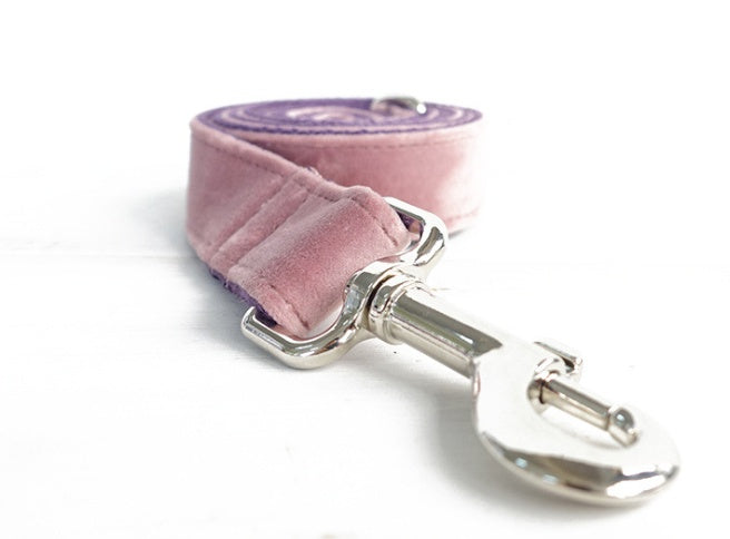 Elevate Your Dog Walking Experience with Our Premium Dog Leash and Collar