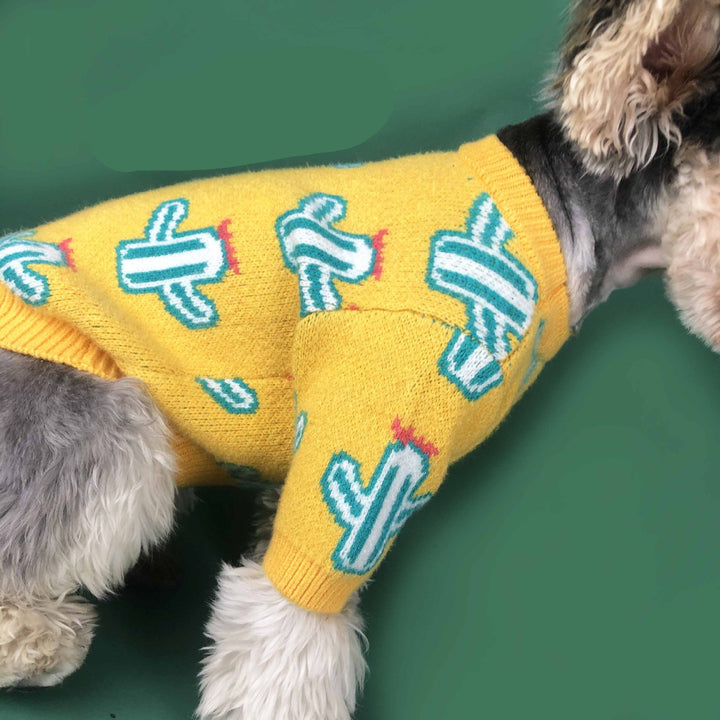 The Perfect Blend of Style and Comfort: Pet Cactus Sweater