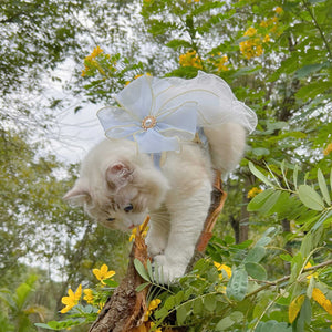 Discover the Layers Of Yarn Pet Leash - A Stylish and Functional Accessory for Your Pets