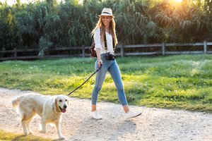 Safe and Durable Dog Leashes