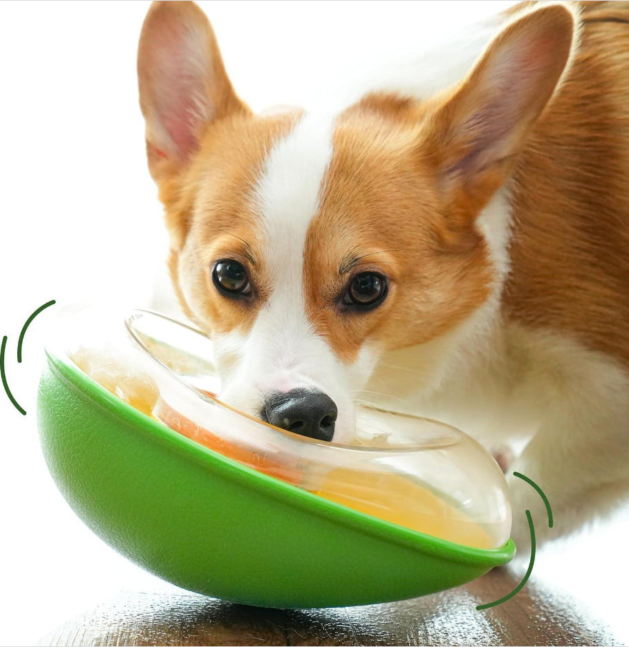 Why Your Pet Deserves the Anti-tumble Avocado Pet Feeding Bowl