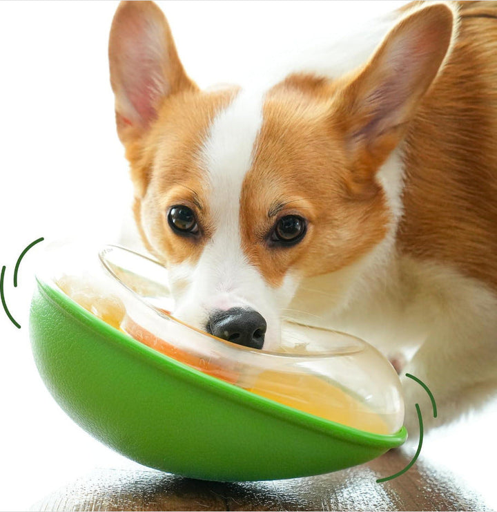 Why Your Pet Deserves the Anti-tumble Avocado Pet Feeding Bowl