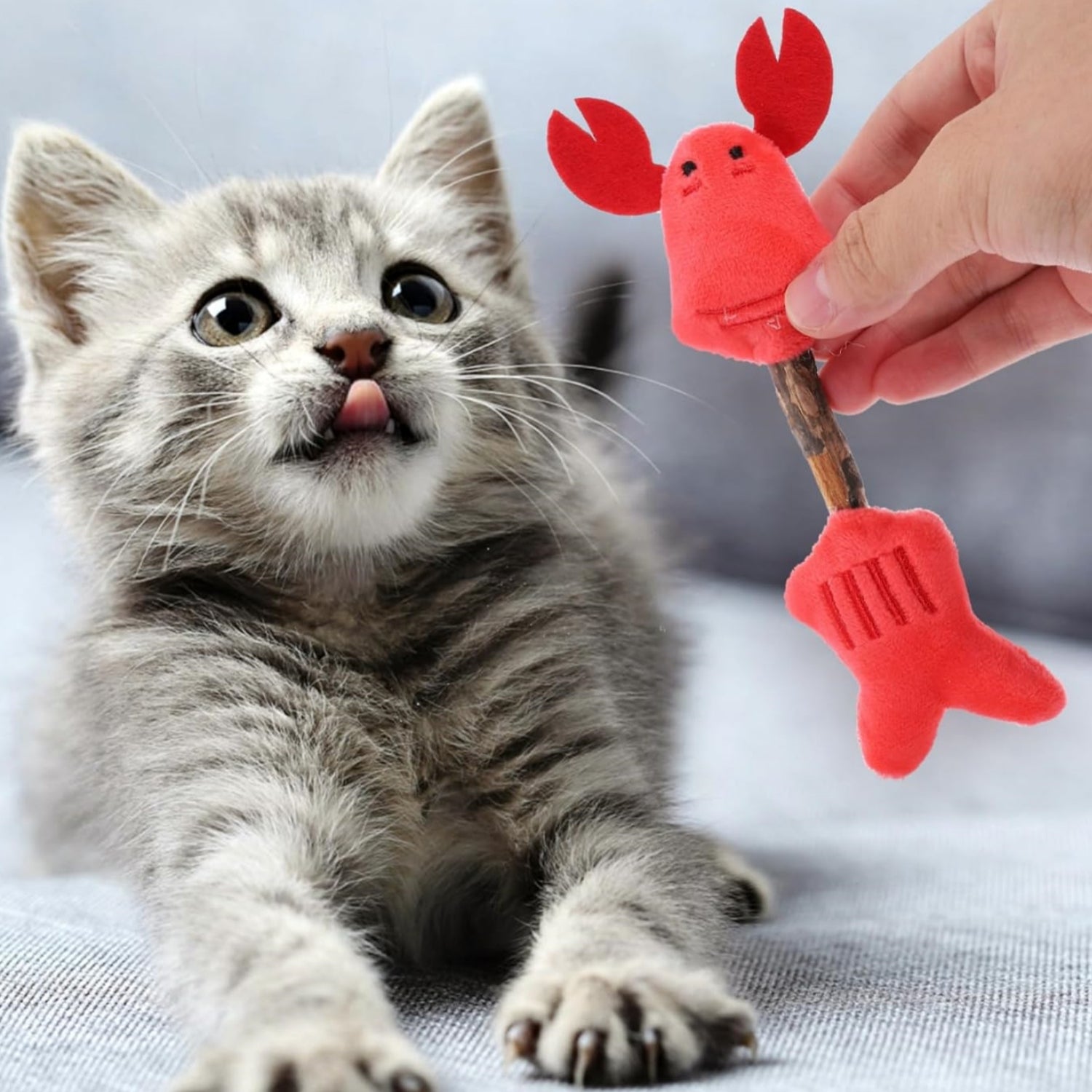 The Ultimate Playtime: Cat Silvervine Stick Chew Stick Toys