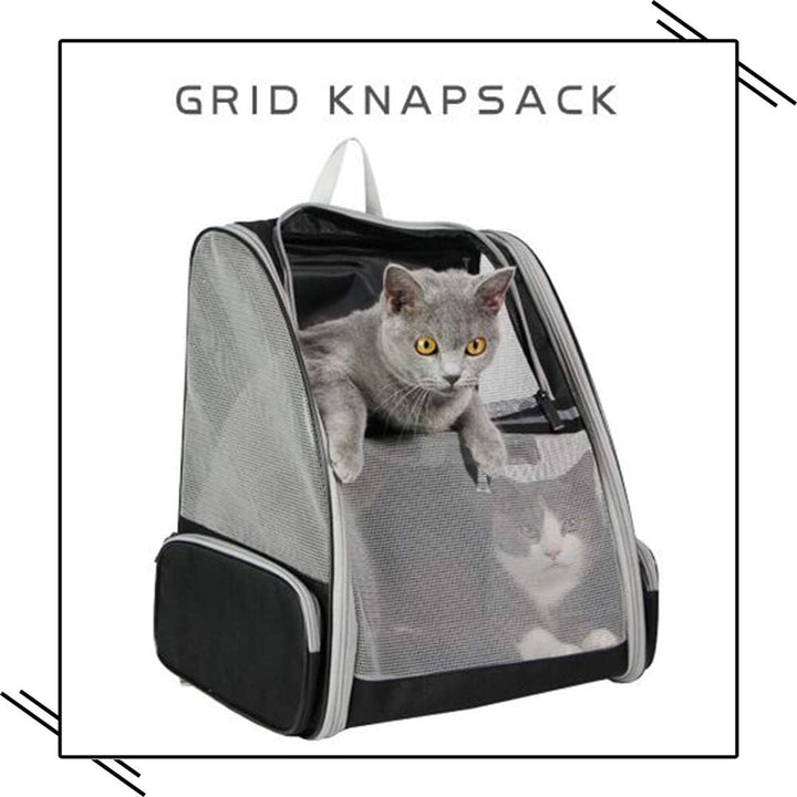 Traveling with Your Pet Made Easy and Stylish