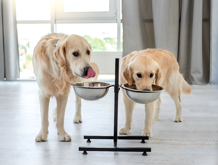 Essential Feeding Supplies for Pets