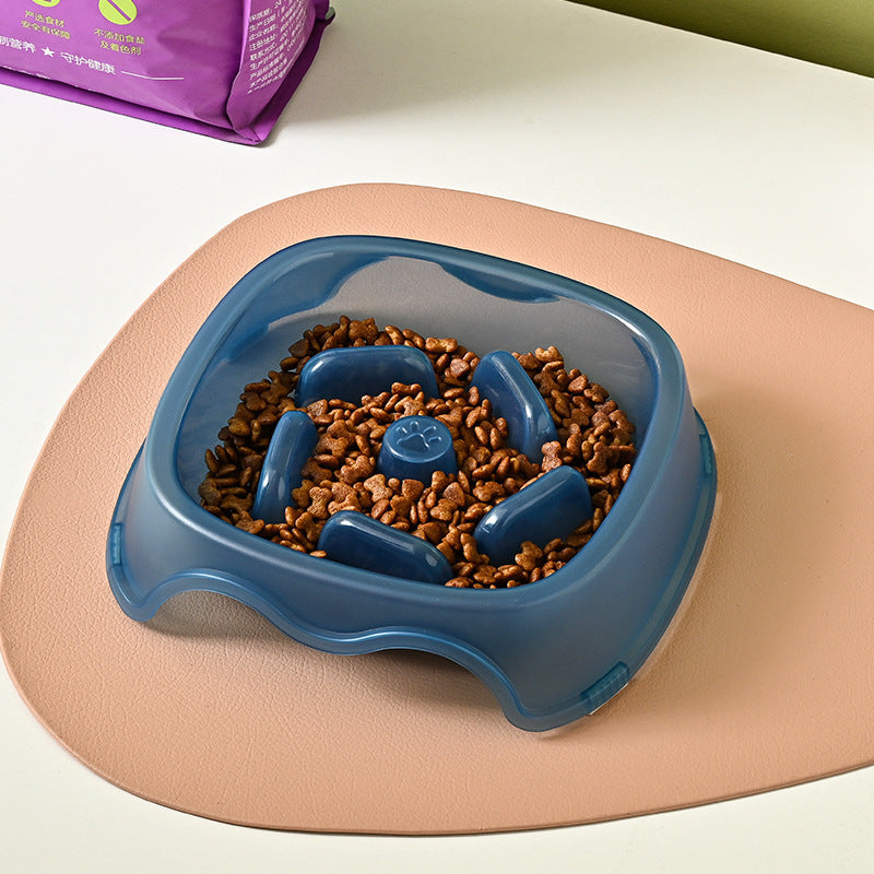 Pet Anti-Choking Water Feeder Bowl
