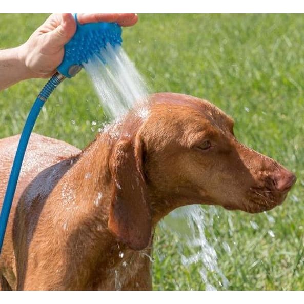 Pet Bathing Outdoor Shower