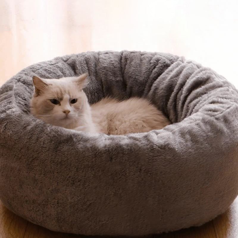 Pet Comfortable Fluffy Cushion Bed