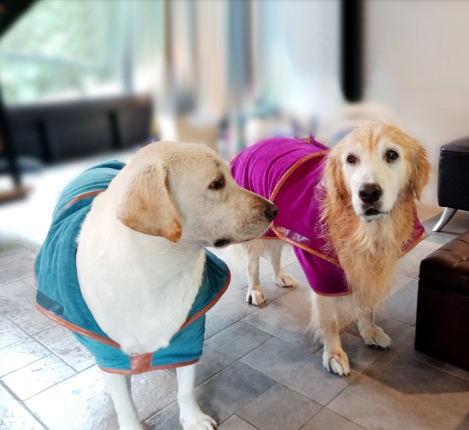 Pet Quick-Drying Absorbent Bath Towel