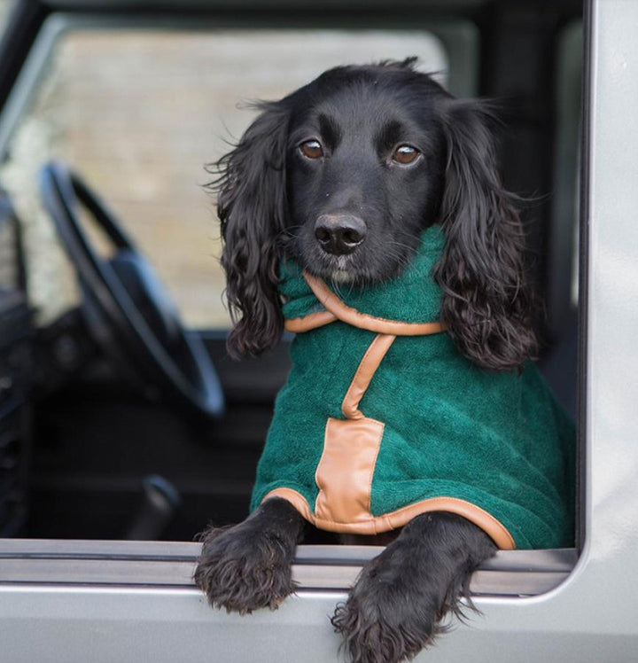 Pet Quick-Drying Absorbent Bath Towel