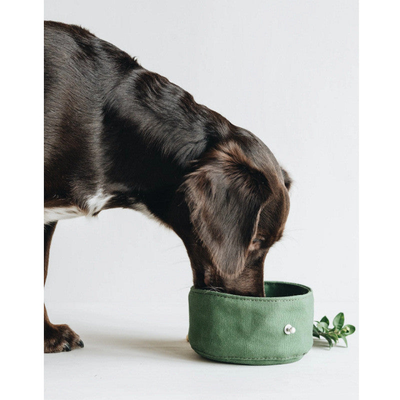 Folding Dog Feeding Bowl
