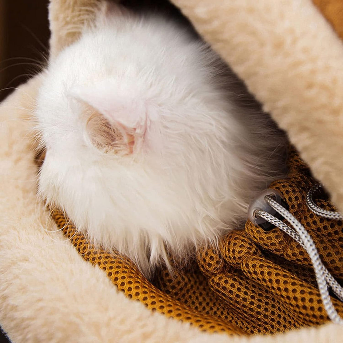 Pet Winter Outdoor Carriers