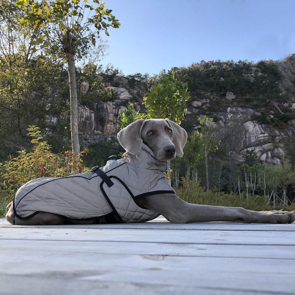 Pet Clothing Full-body Reflective Tactical Jacket