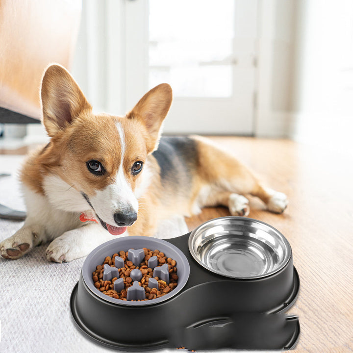 Pet Slow Feeding Bowl