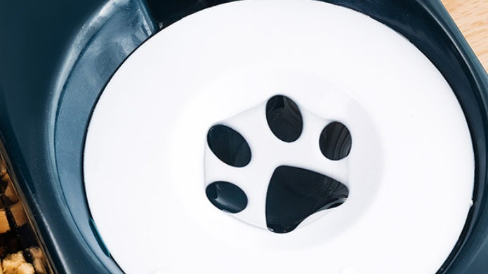 Pet Automatic Combined Feeding Device