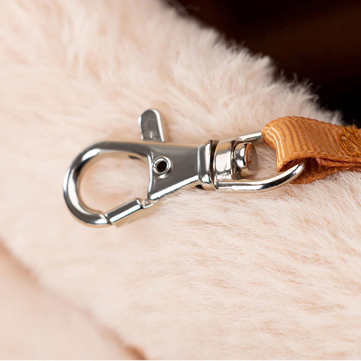 Pet Winter Outdoor Carriers