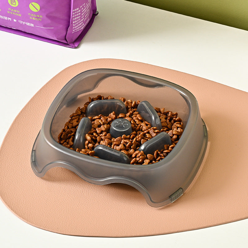 Pet Anti-Choking Water Feeder Bowl