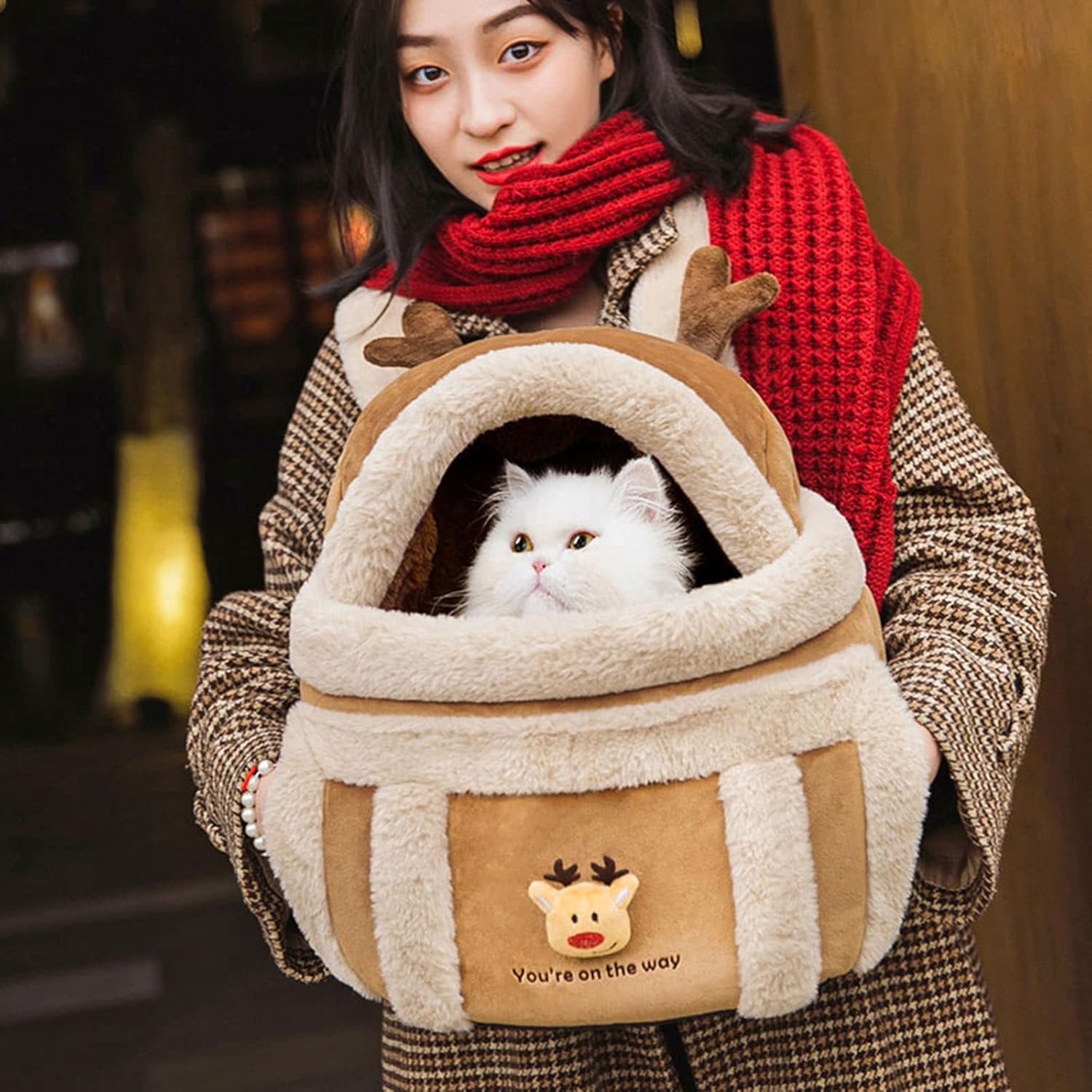 Pet Winter Outdoor Carriers