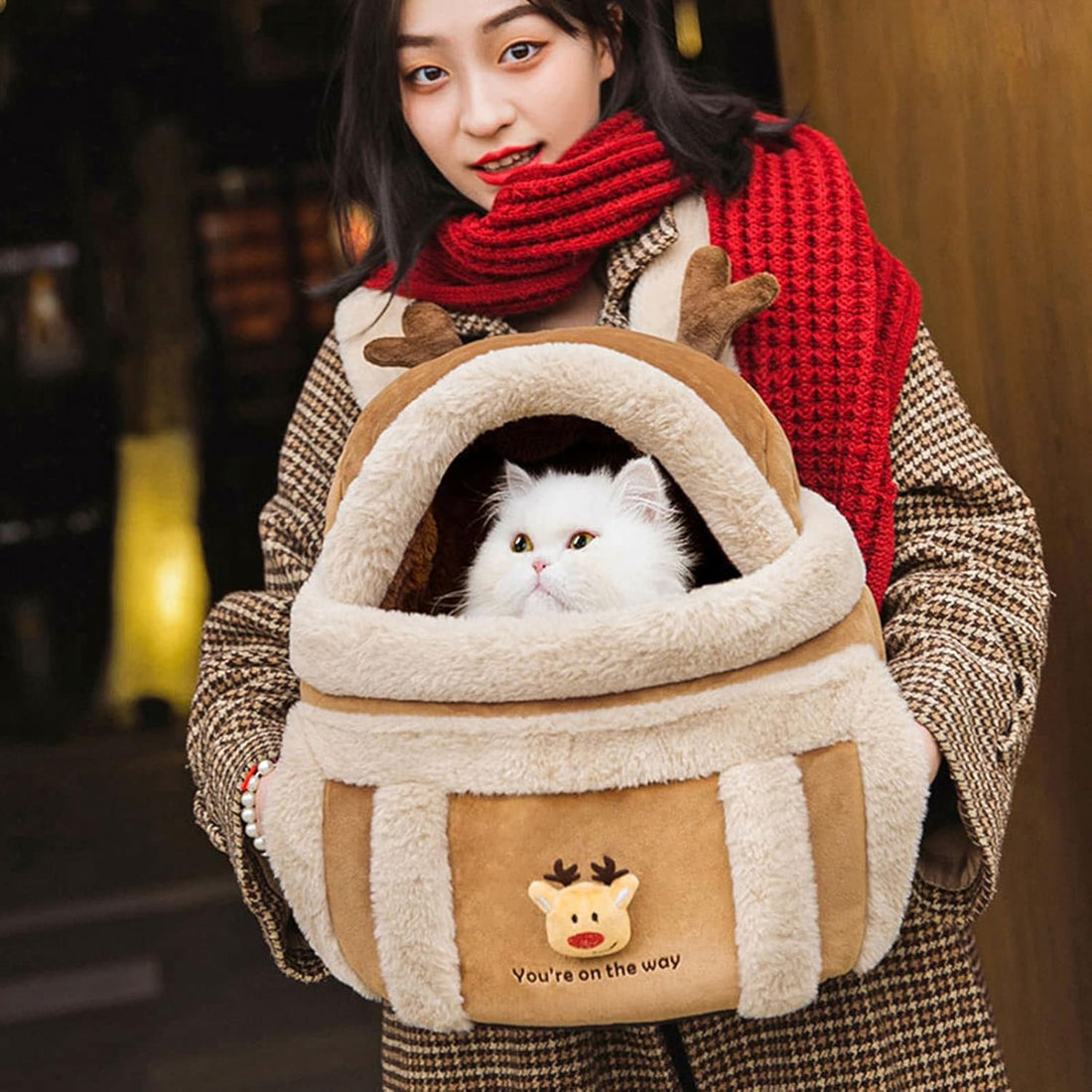 Pet Winter Outdoor Carriers
