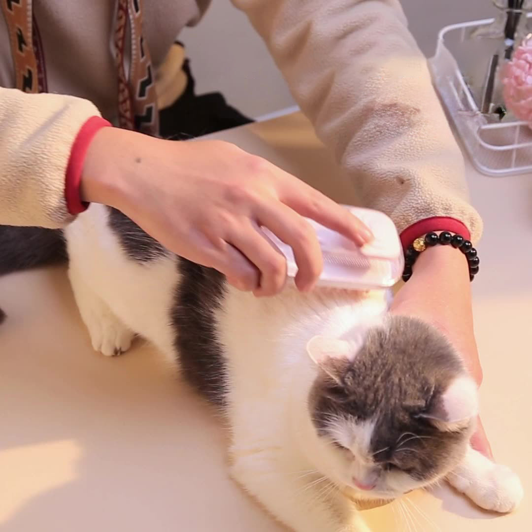 Silicone Bath Brush For Pets