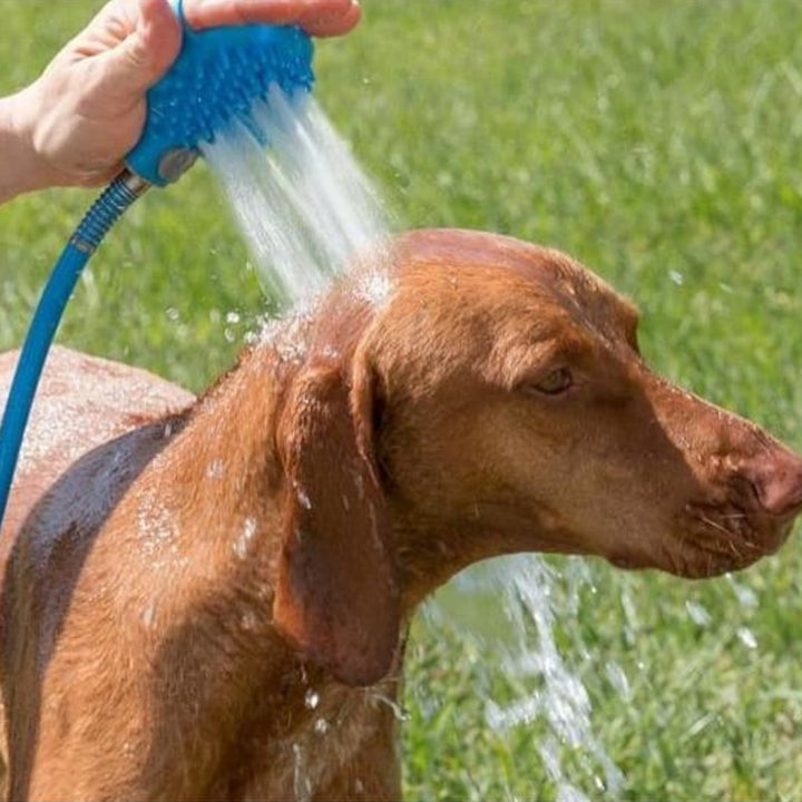 Pet Bathing Outdoor Shower
