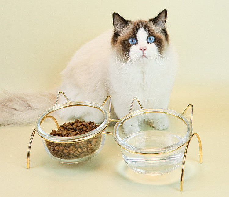 Glass Cat Bowl Drinking Dish Feeder