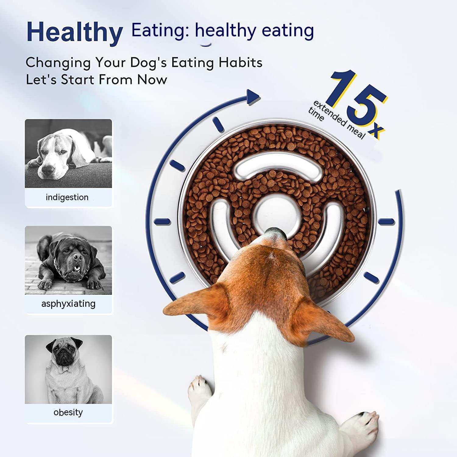 Pet Slow Feeding Bowl Neck Protector