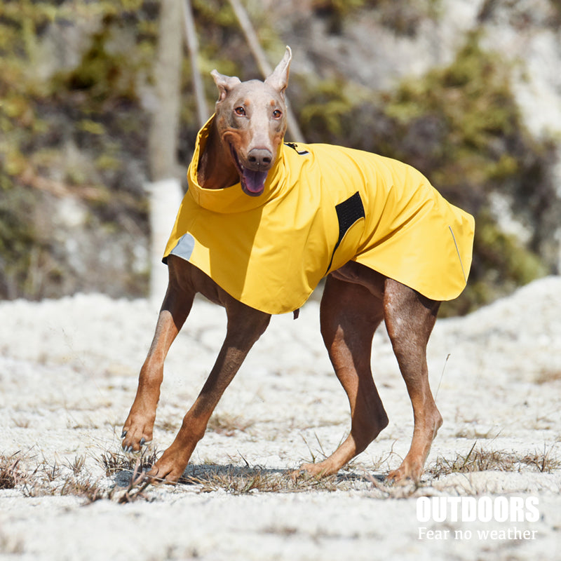 Pet Shell Waterproof Jacket