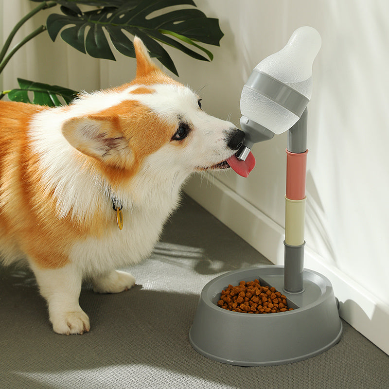 Pet Drinker Feeding Bowl