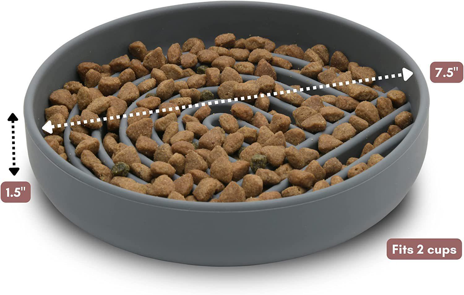 Pet Simple Slow Feeding Bowl